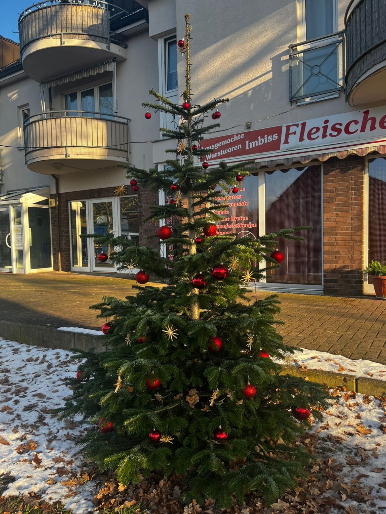 Weihnachtsbaum-Eiche Der Eichener Weihnachtsbaum