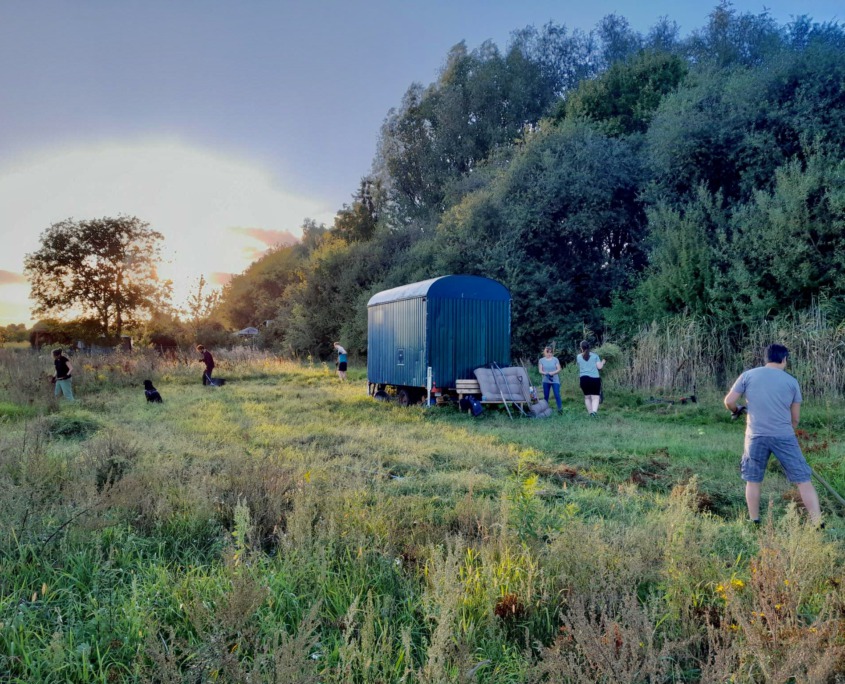 Stadtacker-Herbst Der Stadtacker im Herbst